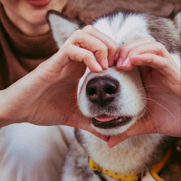 Meet Your Posher! Ahomestyle! - Picture 4 of 5